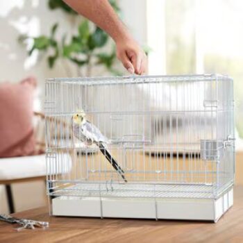 Top 10 Best Bird Cages of 2025